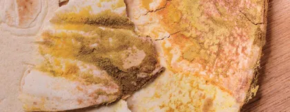 混合教学模式下食品微生物学课程思政教学改革与实践