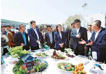 中国厨乡·品味蓝田 陕西省烹饪大赛暨蓝田美食文化节开幕