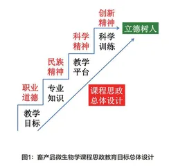 工程教育认证背景下畜产品微生物学 课程思政体系的建立与探索