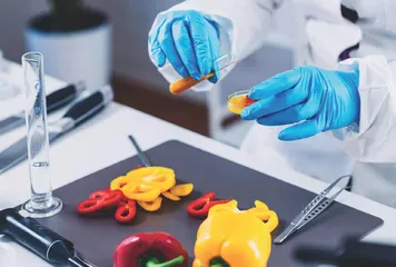 高职食品分析课程教学中提升学生职业道德的实践思考