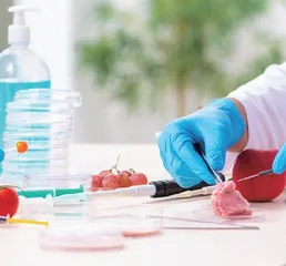 食品化学课程思政元素的挖掘与实践