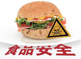 智慧监管下的食品安全监管研究