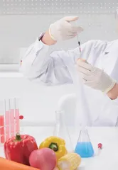 基于生物技术的食品快速检测技术研究