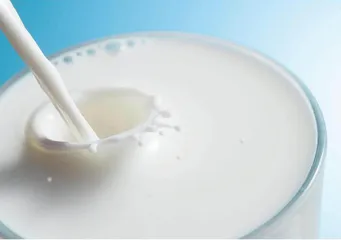 连推两款无糖茶新品 维他奶欲阻止业绩不断下探