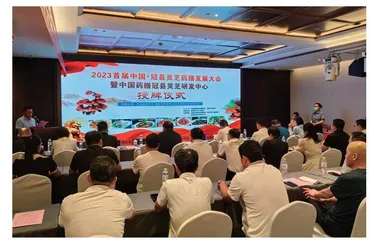 开发灵芝药膳 助力经济发展