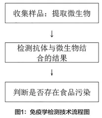 微生物检测技术在食品安全中的应用研究