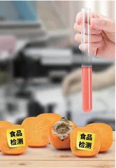 食品微生物检验的内容及检测技术探讨