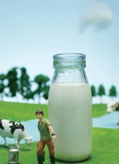 财务真实性受质疑 骑士乳业 能否成为北交所“乳业第一股”