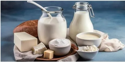 协同发酵对发酵乳中益生菌活菌数及发酵乳品质的影响