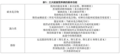 我国运动营养食品的发展现状、困境及提升路径研究