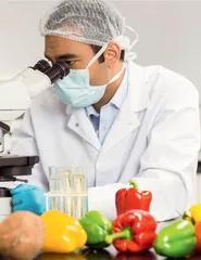 食品微生物学课程思政的教学设计与实践