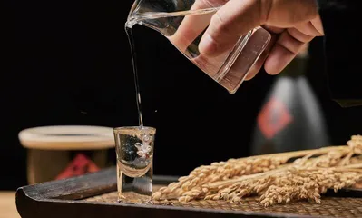 光瓶酒持续快速增长吸引各大酒企竞相布局