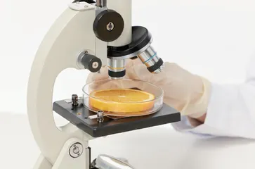 食品检测中PCR技术的应用研究