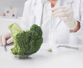 PCR技术应用于食品工程中的探讨