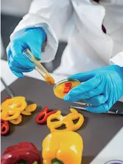 在食品分析课程中运用混合式教学模式的探讨