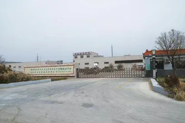 小蒜头大能耐 蒜素产品为健康助力