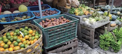 绿色食品经济对农村区域经济的影响初探