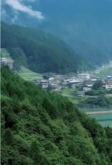 奋力开拓乡村振兴新局面