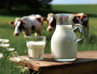 传统乳制品产业发展面临的问题及对策