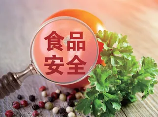 “互联网+”食品模式安全监管困境与策略研究