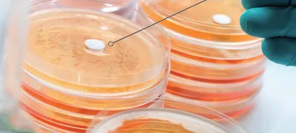 课程思政在食品微生物检验技术课程中的实践研究