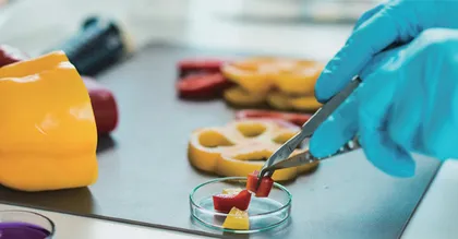 食品安全监管中快速检测技术运用分析