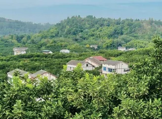 品尝味美广安的独特韵味