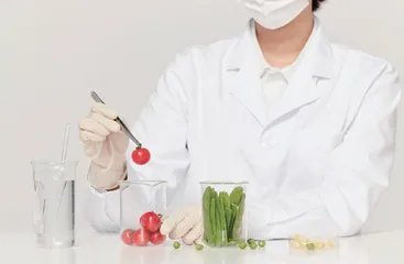 食品检测技术在食品安全中的运用探讨