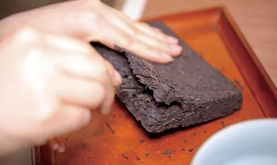 科学解读饮用砖茶的注意事项