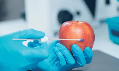 浅析影响食品检验准确性的因素及解决对策