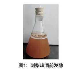 一款刺梨啤酒的研制及其成分检测