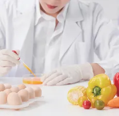 超高效液相色谱法在食品检测分析中的运用