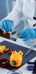 高职食品生物化学在线开放课程教学研究