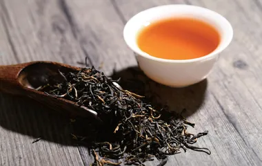 武夷名丛现状及保护的研究