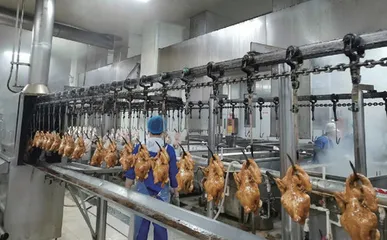 安徽宿州：食品生产环境卫生专项整治行动取得明显成效
