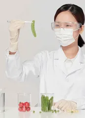 液相色谱在食品检测中的应用