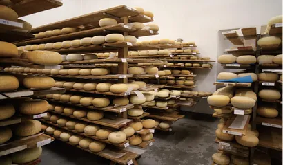 新食品加工技术对食品营养的影响