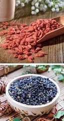 科学解读红枸杞和黑枸杞哪个好