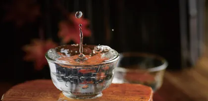 酱酒企业收入暴增  行业分化逐步提速