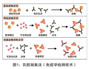 食品微生物检测方法及质量控制分析