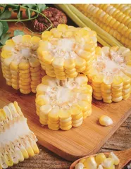 又增收又绿色可持续  大豆玉米带状种植受热捧