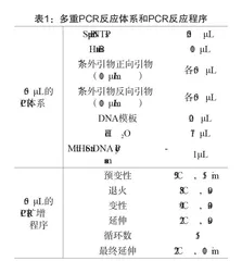 PCR技术在食品微生物检测中的应用价值