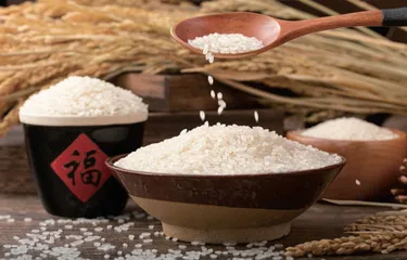 从大食物观出发更好满足人民需要