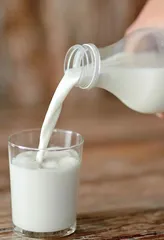 食品安全管理体系在乳品质量控制中的运用