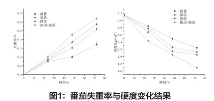运输振动和跌落对番茄物流品质的影响