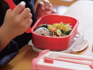 幼儿园食品安全 营养膳食的科学管理探讨