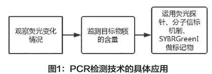 食品检测技术 在转基因食品中的应用