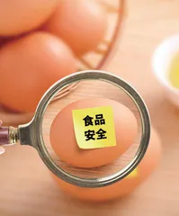 在高校开展食品安全教育的必要性和举措