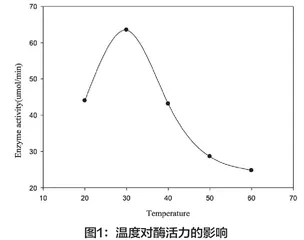 槲皮素对马铃薯酪氨酸酶 活性的影响以及机理研究