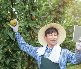 网络社群视角下农产品营销策略阐述以及讨论